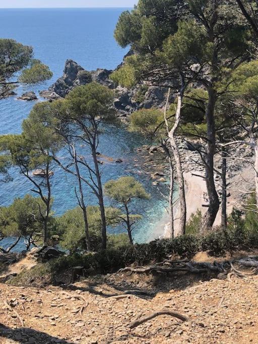 Petite Endroit Splendide. Lägenhet Six-Fours-les-Plages Exteriör bild