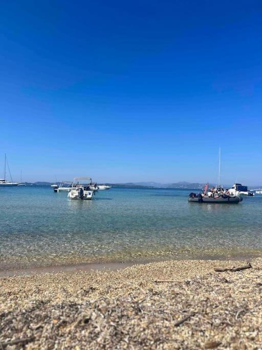 Petite Endroit Splendide. Lägenhet Six-Fours-les-Plages Exteriör bild
