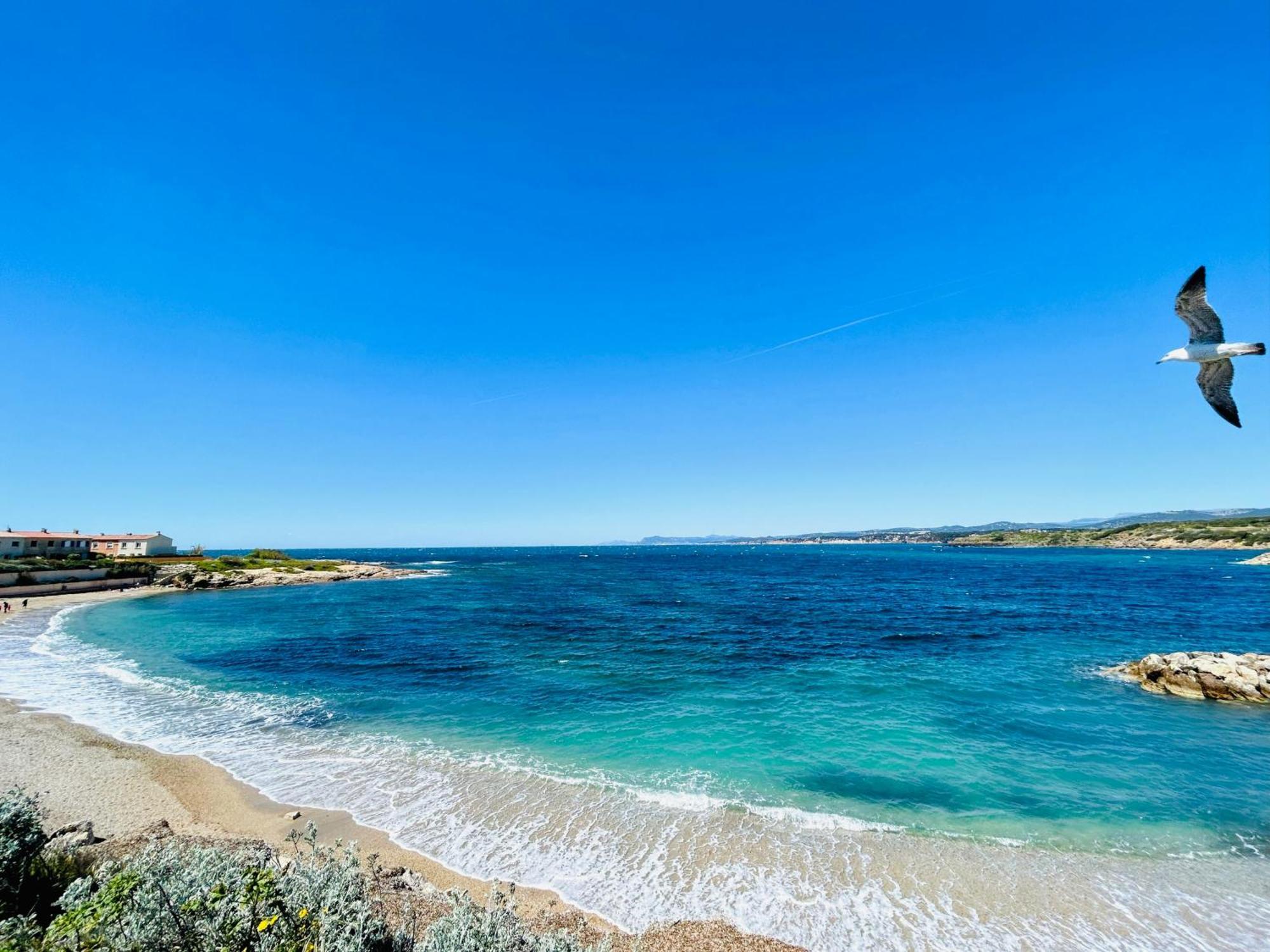 Petite Endroit Splendide. Lägenhet Six-Fours-les-Plages Exteriör bild